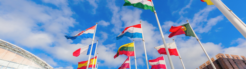 Colourful European flags flying against a blue sky