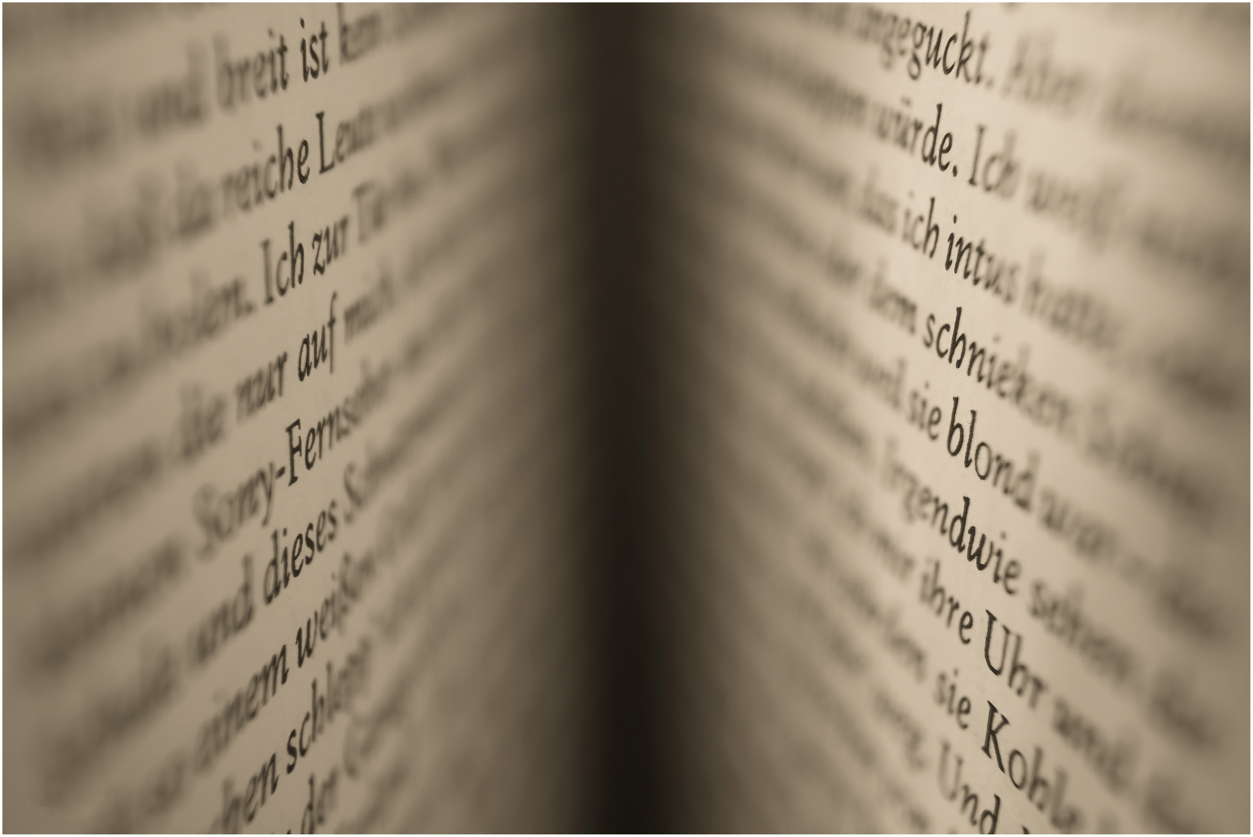 Glossary
