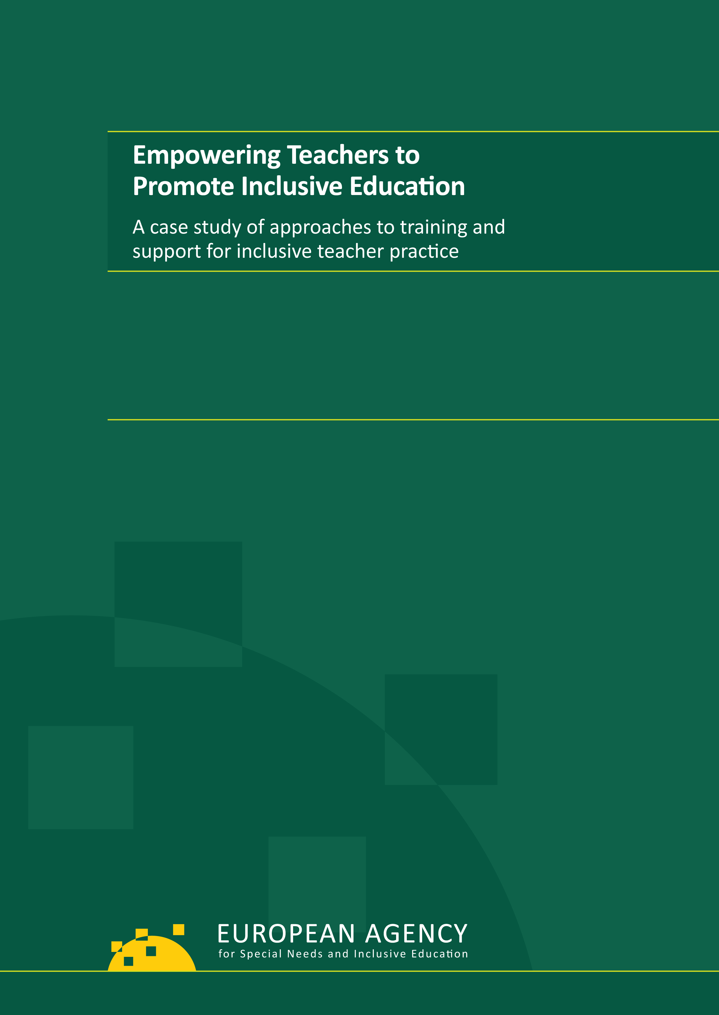 Empowering Teachers to Promote Inclusive Education