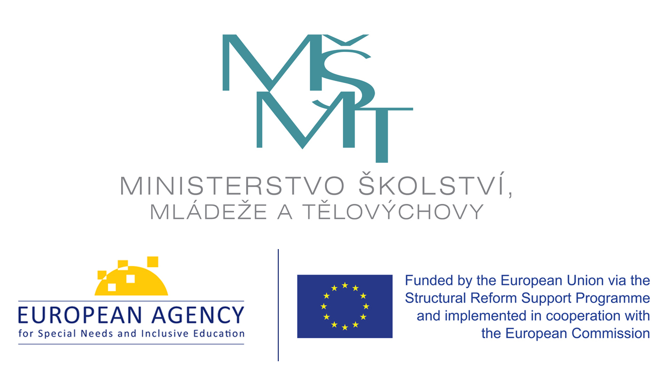 Agency support for inclusive education in the Czech Republic