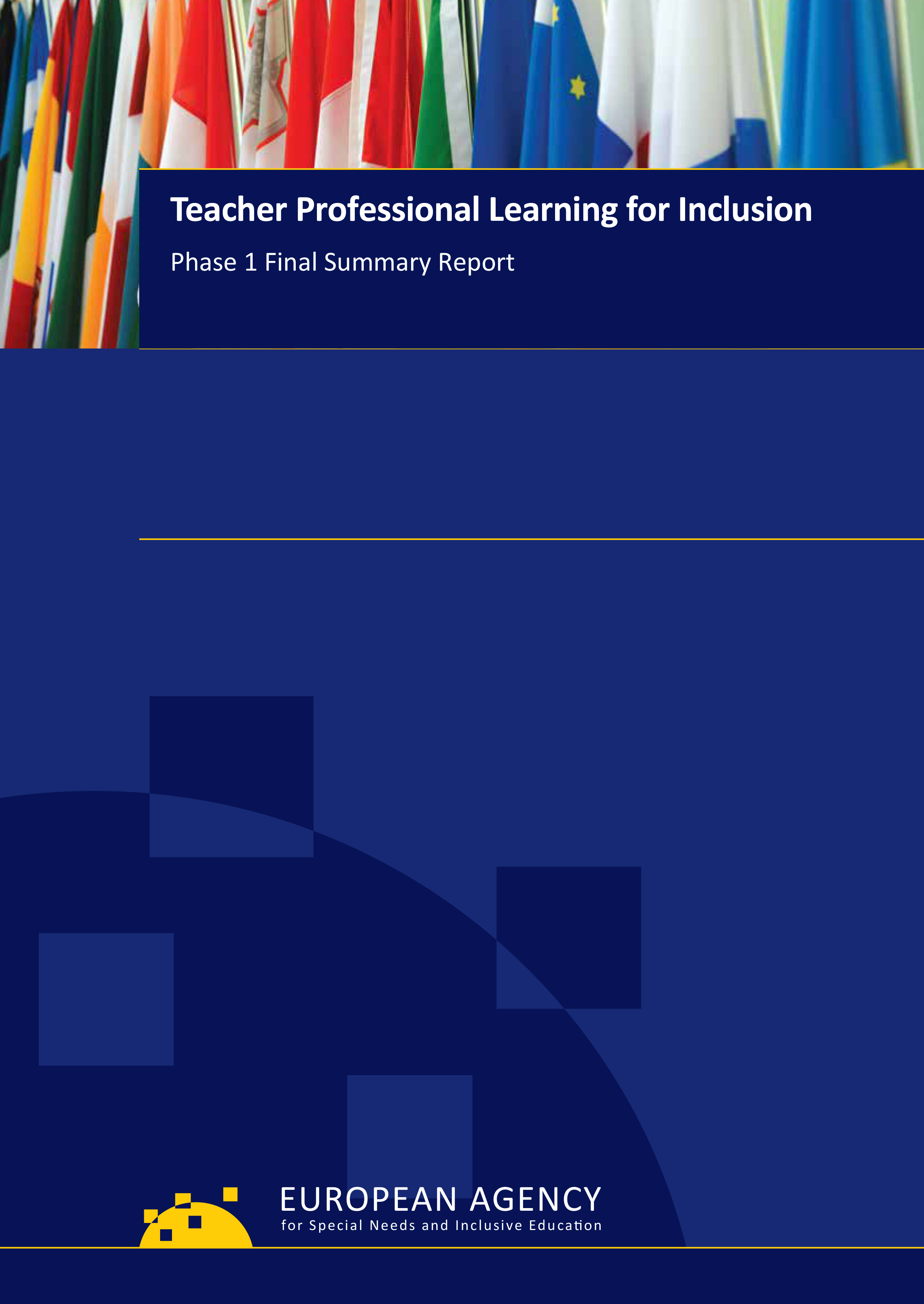 Teacher Professional Learning for Inclusion: Phase 1 Final Summary Report