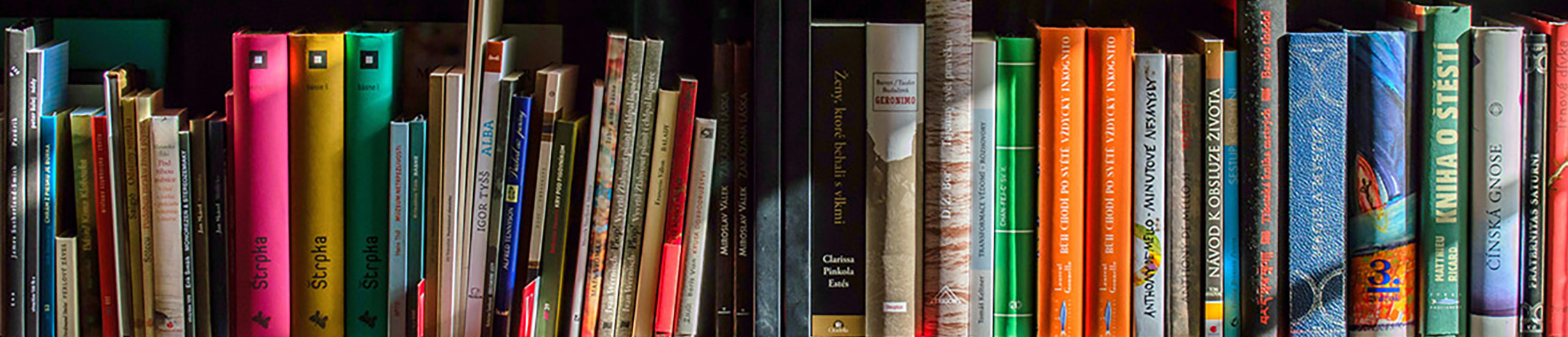 image of books on a shelf