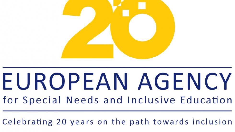 the Agency's 20th anniversary logo Agency 20th anniversary logo