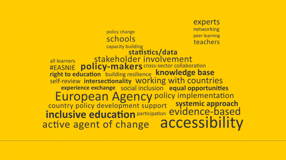 Word cloud of Agency themes. Main words highlighted are accessibility, inclusive education, active agent of change and evidence-based