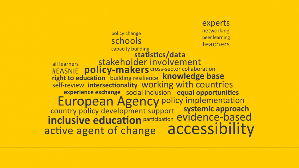 Word cloud of Agency themes from the celebratory book Word cloud of Agency themes. Main words highlighted are accessibility, inclusive education, active agent of change and evidence-based