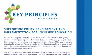 Front page of the Key Principles Policy Brief
