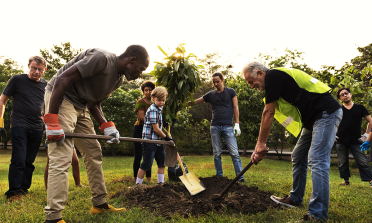 A group of people of different ages planting a tree