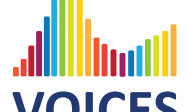 Logo: Voices into Action project