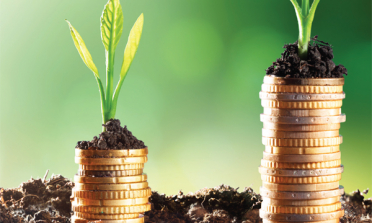 stacks of coins with green plants sprouting out of them