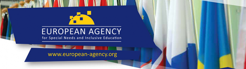 image of the Agency Presentation Flyer 2017