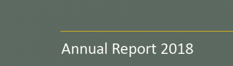 Annual Report front page