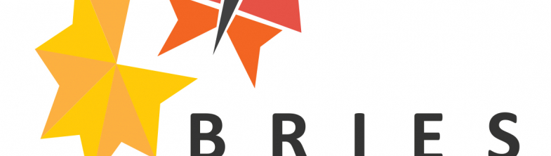Logo: BRIES – Building Resilience through Inclusive Education Systems