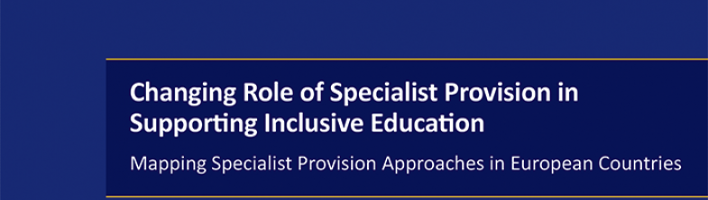 cover of the Changing Role of Specialist Provision in Supporting Inclusive Education: Mapping Specialist Provision Approaches in European Countries report