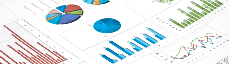 image of graphs and bar charts