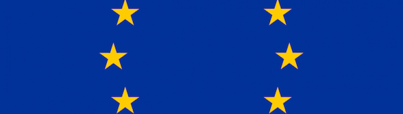Image: The European Union flag