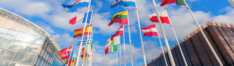 European flags against a blue sky