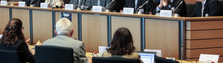 Harald Weber and Mary Kyriazopoulou, European Agency; Per Gunnvall, Agency Chair; Ádám Kósa, MEP; Cor Meijer, Agency Director; Serge Ebersold, INSHEA and Rory O’Sullivan, Killester College, Ireland