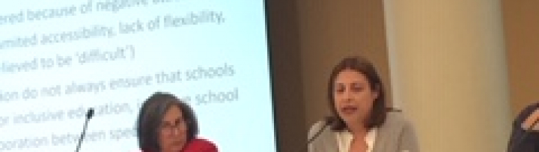 Simoni Symeonidou presents at the workshop
