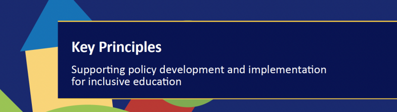 Key Principles report cover