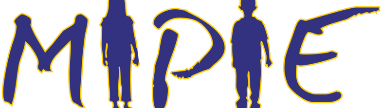 logo for the Mapping the Implementation of Policy for Inclusive Education flyers