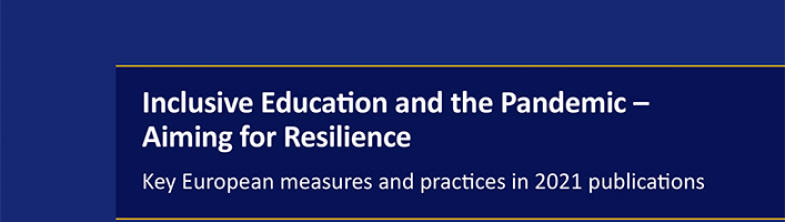 Front cover of the BRIES Literature Review