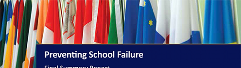 Cover of the PSF Final Summary Report