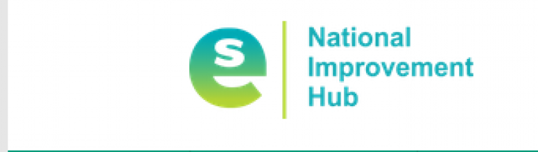 National Improvement Hub logo