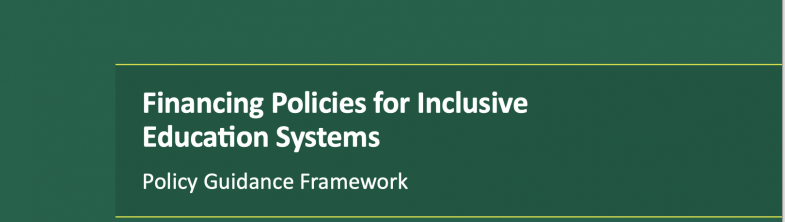 cover of the FPIES Policy Guidance Framework