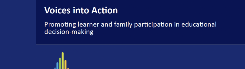 Cover of the Voices into Action report