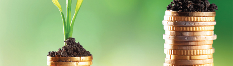 stacks of coins with green plants sprouting out of them