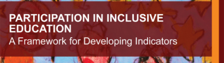 cover of the Participation in Inclusive Education – A Framework for Developing Indicators report
