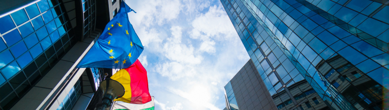 image of flags and buildings of the european parliament