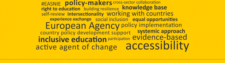Word cloud of Agency themes. Main words highlighted are accessibility, inclusive education, active agent of change and evidence-based