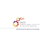 Cover of the Cross-Country Report showing the EASIE logo