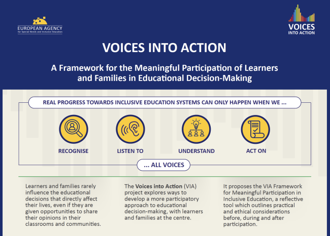 Image: the first section of the VIA infographic