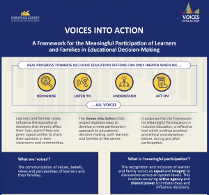 screenshot of the VIA infographic