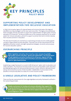 Front page of the Key Principles Policy Brief