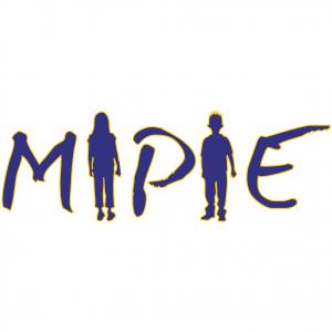 logo for the Mapping the Implementation of Policy for Inclusive Education flyers