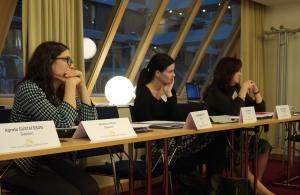 participants in a meeting environment