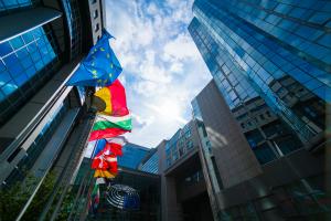 image of flags and buildings of the european parliament